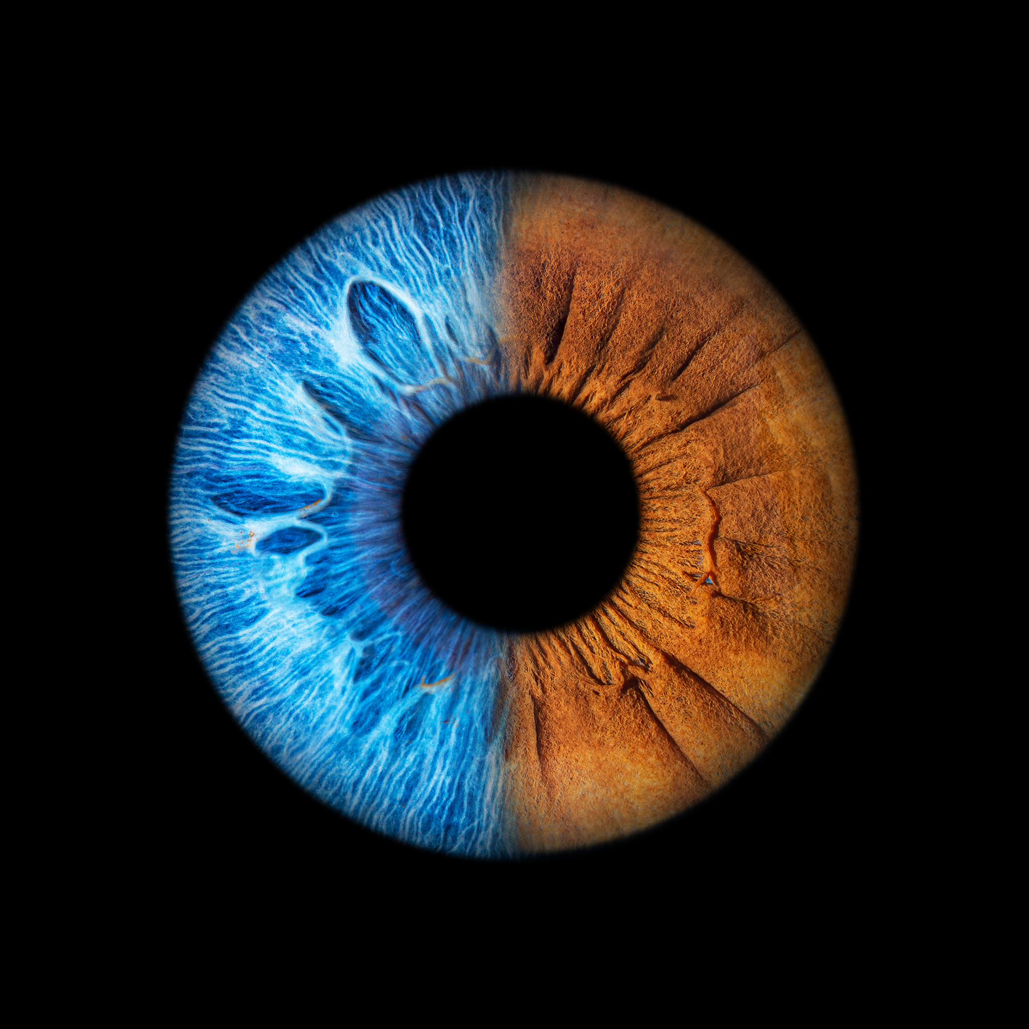 Iris - fotenie očí