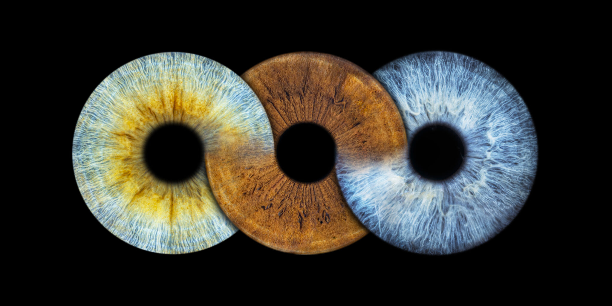 Fotenie očí Iris Artis - umelecké fotografie dúhoviek